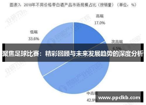 聚焦足球比赛：精彩回顾与未来发展趋势的深度分析